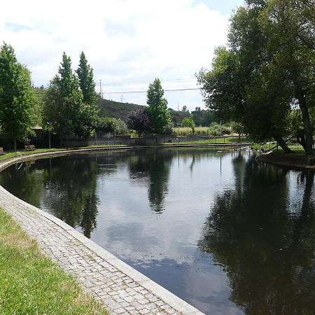 Zen Guest House Em Leiria بيدروغاو غراندي المظهر الخارجي الصورة